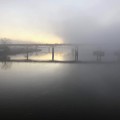 Foggy December Sunrise